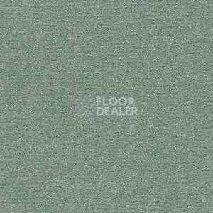 Ковролин Radici Nexus Onice 2427 фото 1 | FLOORDEALER